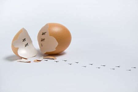 Concept of an escaped young chicken after counting days within the egg shell.の写真素材