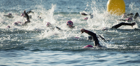 Group people in wetsuit swimming at triathlonの写真素材