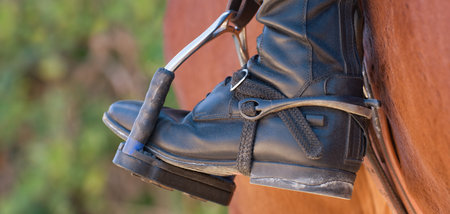 Foot of the athlete in a stirrup astride a horse, the foot of the rider, sitting on a horse, in a black boot with a spur, rests on a metal stirrupの写真素材