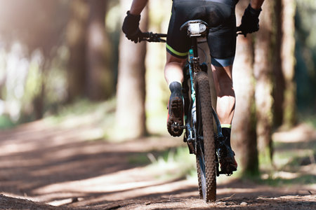 Mountain biking man riding on bike in summer mountains forest landscapeの写真素材