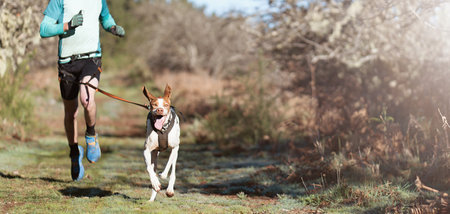Dog and its owner taking part in a popular canicross race. Canicross dog mushing race. Spring...