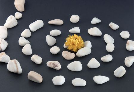 Dry everlasting and stone spiral on black backgroundの写真素材