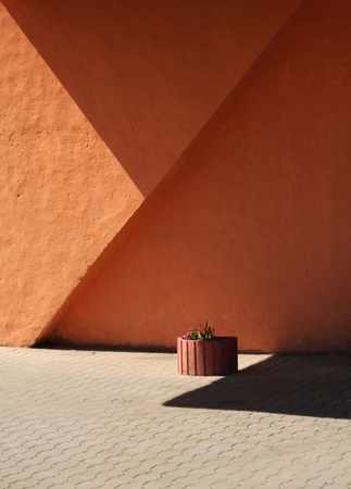 Orange wall texture and flowers. Urban background.の写真素材