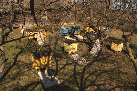 Yellow and blue bee hives from the top. Live of an apiaryの写真素材