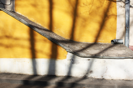 Tree shadow on orange plaster wall. Urban sceneの写真素材