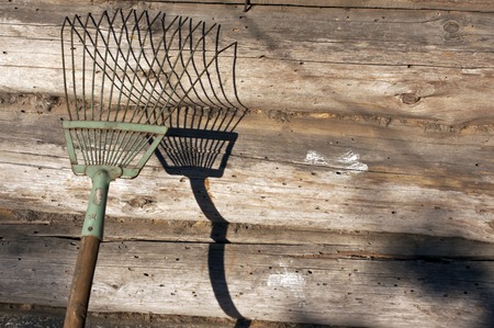 Rake in front of log house. Architectural background