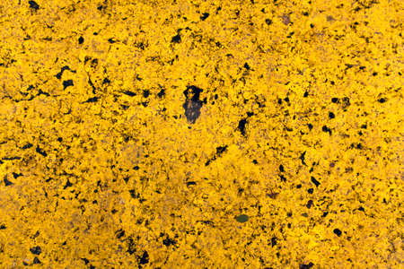 Yellow painted asphalt texture. Urban background.