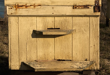 Old yellow bee hive in spring. Live of an apiaryの写真素材