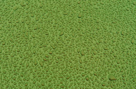 Green water drops on metal car surface. Background and texture