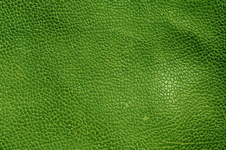 Abstract green leather texture. Background and texture for design.の写真素材