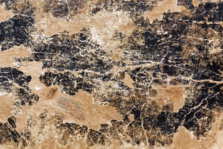 Old damaged paper book cover texture. Background and texture for design.