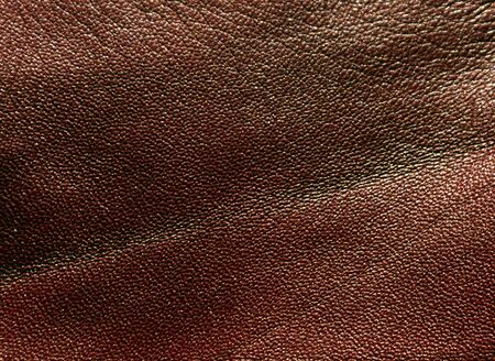 Abstract color leather texture. Background and texture for design.の写真素材