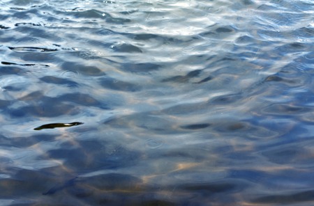 Abstract water in the lake surface. Natural background and texture.の写真素材