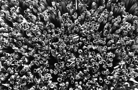 Old black and white straw roof texture. Abstract background and texture for design.の写真素材