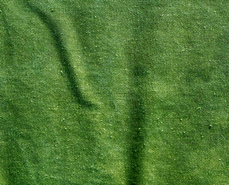 Green color cotton canvas pattern. Abstract background and texture for design.の写真素材