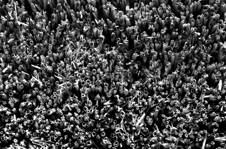 Old black and white straw roof texture. Abstract background and texture for design.の写真素材