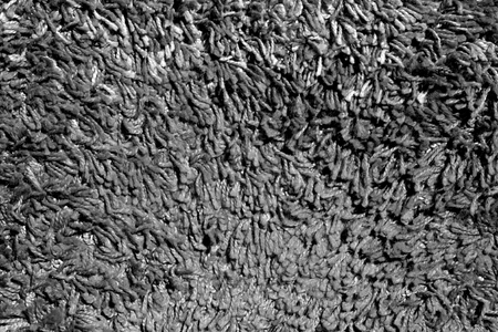 Gray color carpet pattern. Abstract background and texture for design.の写真素材