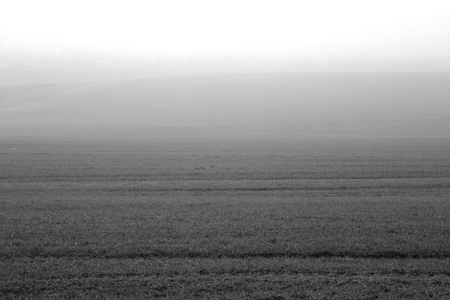 Black and white agriculture field in fog. Seasonal background.の写真素材