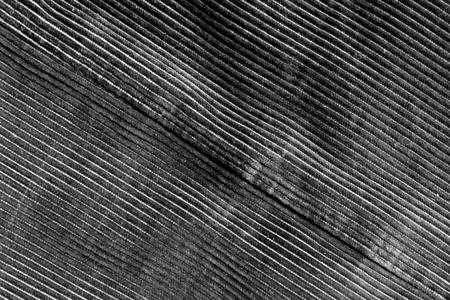Cotton fabric texture in black and white. Abstract background and texture.