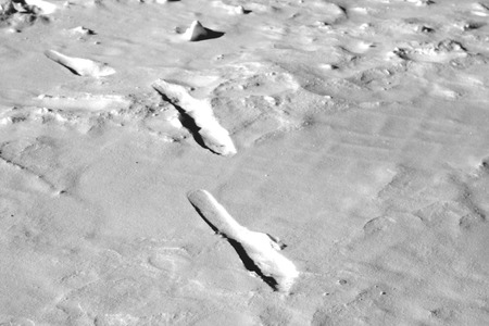 Foot steps in snow in black and white. Seasonal background.