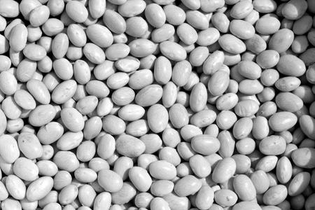 Pile of white soya beans in black and white. Food and ingredientes background.の写真素材