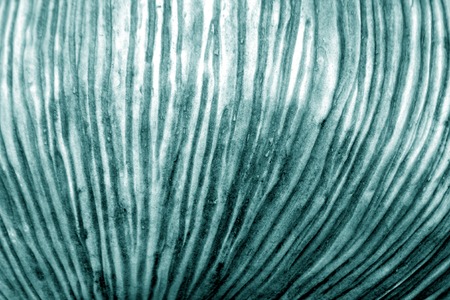 Cyan color abstract uneaven texture. Background and texture for design