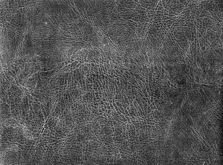 Black and white weathered leather texture. Abstract background and texture for design and ideas