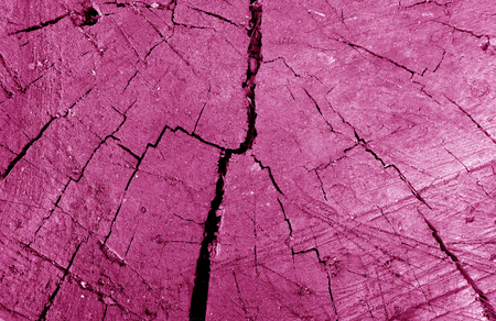 Old dirty tree cut close-up in pink tone. Abstract background and texture for design.の写真素材