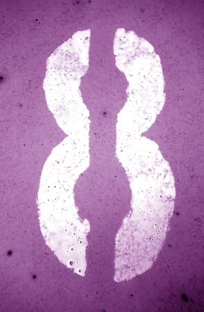 Number 8 in stencil on grungy metal wall in purple tone. Abstract background and texture for design.の写真素材