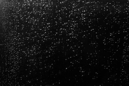 Rain drops on window in sunset lights defocused in black and white. Seasonal background texture for design.の写真素材