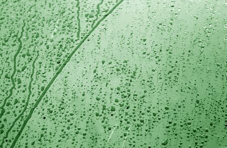 Condensation drops texture in green tone. Abstract background and texture for design.