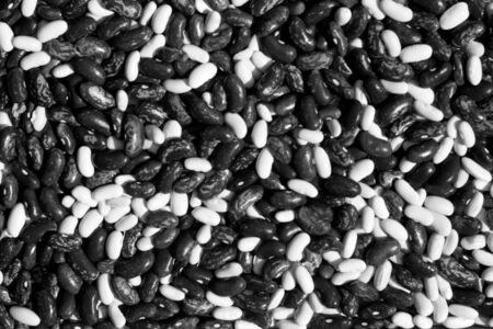 Soya beans close-up in black and white. Food and ingrediens.の写真素材