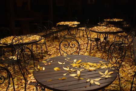 Fallen leaves on wooden table in cafe. Seasonal background for wallpaper or design.の写真素材