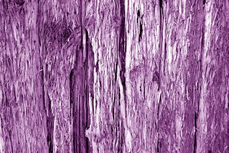 Old grungy wooden wall in purple tone. Abstract background and texture for design.の写真素材