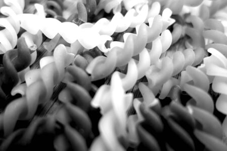 Dry pasta close-up with blur effect in black and white. Food and ingredientes background.の写真素材