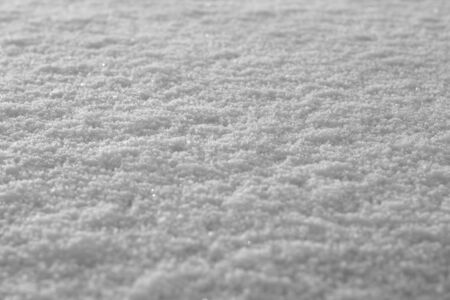 Snow on sun light with blur effect in black and white. Seasonal background for wallpaper or design.の写真素材