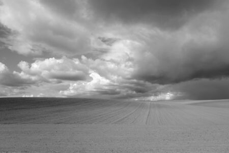 Cultivated agricultural field and cloudy sky. Spring landscape and background