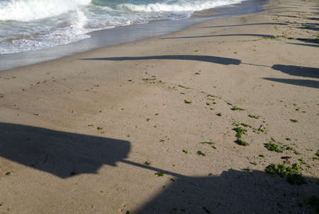 Shadows of beach umbrellas on sandy shore. Seasonal resort background