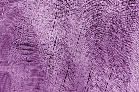 Part of wood curving on oak in purple tone. Natural background and texture.の写真素材