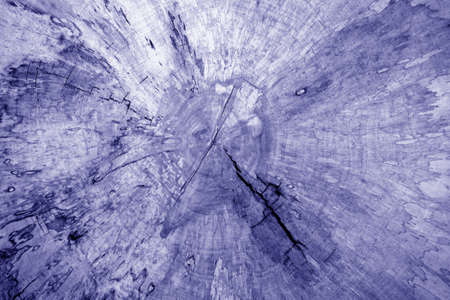 Wooden board texture with blur effect in blue tone. Abstract background and texture for design.の写真素材