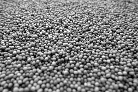 Mustard seeds close-up with blur effect in black and white. Food and ingredients background.の写真素材