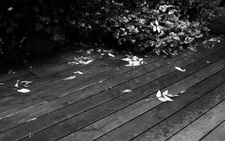 11111の写真素材