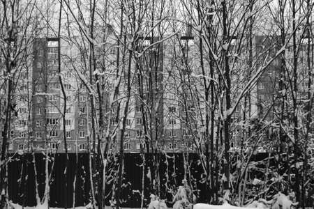 Trees under snow and residential building in black and white. Seasonal background and texture for design.の写真素材