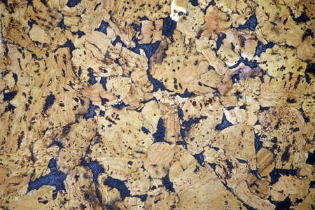 Cork board texture. background and texture for design.の写真素材
