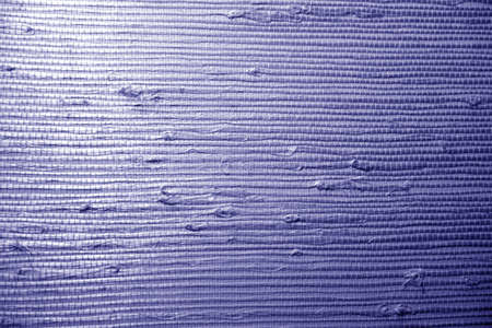 Natural bamboo wallpaper texture in blue tone. background and texture.の写真素材