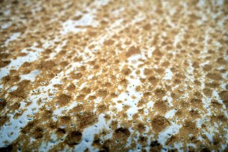 Pita bread or tortilla texture. Food and ingredients background.の写真素材