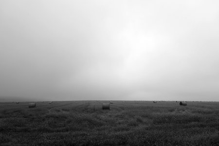 Straw rolls on foggy field in autumn. Seasonal country scene and background.の写真素材