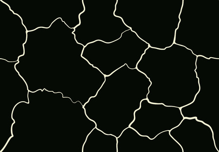 image crack for decorations and ornaments black and white seamless patternのイラスト素材