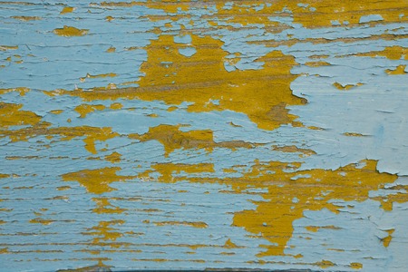 the texture of the yellow wood tree with blue weathered paintingの写真素材