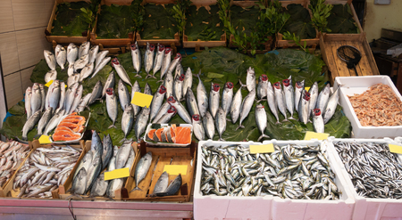 fish market counter with fresh catch various type of seafood clear labelsの写真素材